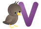 V