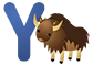 Y